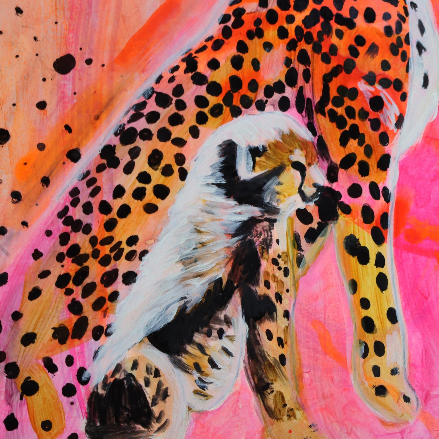 Cheetah - Oil on paper - 9x12