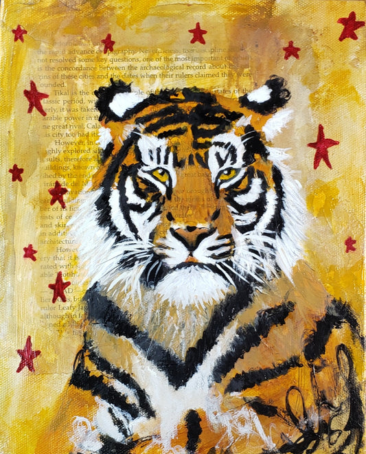 Animal Collection