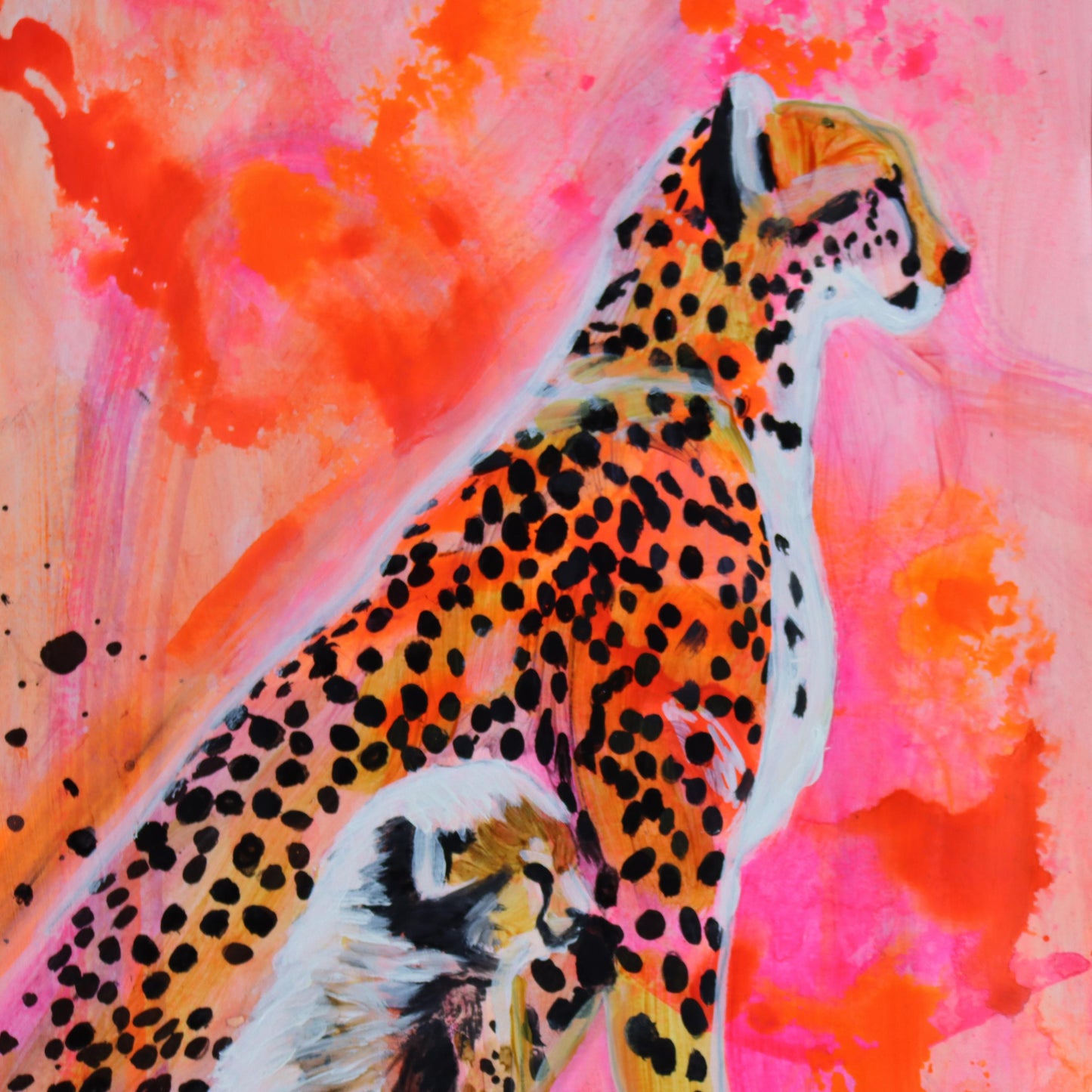 Cheetah - Oil on paper - 9x12